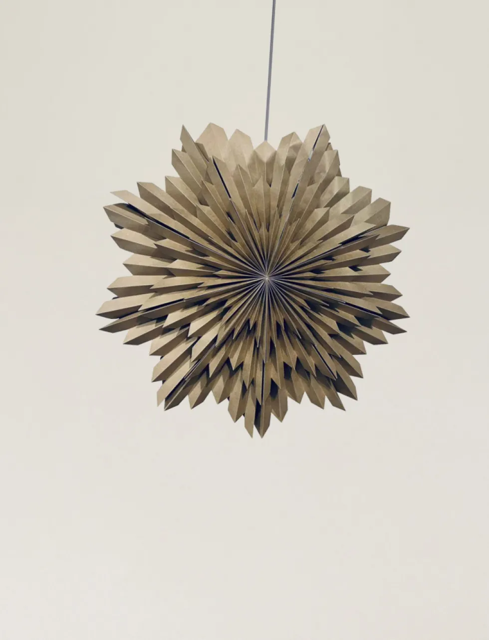 Adventsstjärna 'Oslo' 80cm - Brun