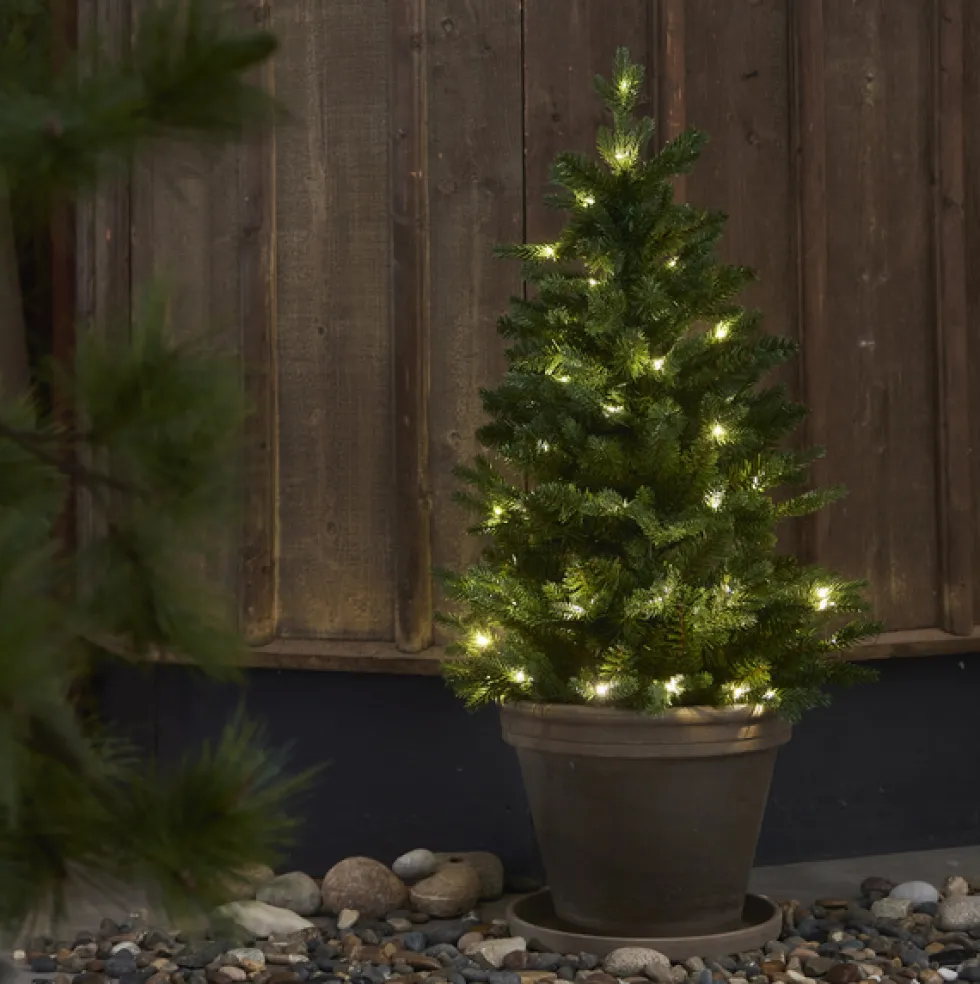 Julgran 'Byske Belysning' - Grön