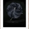 Poster 'Essence of Ballet 06' 50x70 - Svart/Vit